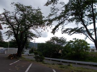 DSCN6395.JPG