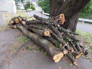 DSCN6396.JPG
