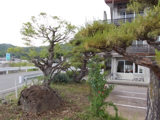DSCN6404.JPG