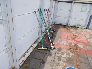 DSCN6490.JPG