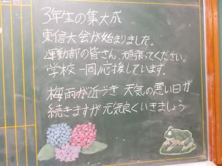DSCN6499.JPG