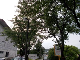 DSCN6616.JPG
