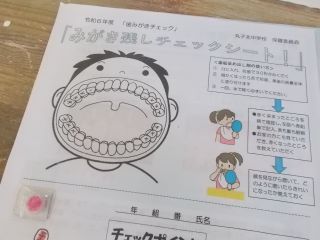 DSCN6644.JPG