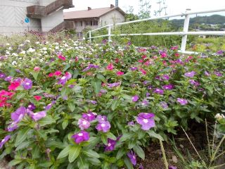 DSCN6760.JPG