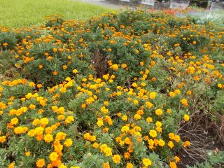 DSCN6762.JPG