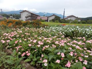 DSCN6763.JPG