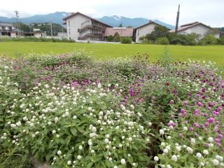 DSCN6766.JPG