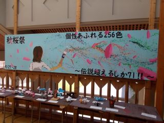 DSCN6798.JPG