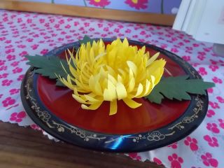 DSCN6839.JPG
