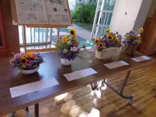 DSCN6846.JPG