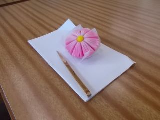 DSCN6872.JPG