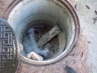 DSCN6925.JPG
