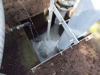 DSCN6928.JPG