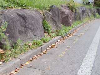 DSCN7090.JPG