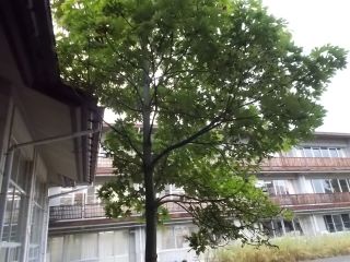 DSCN7116.JPG