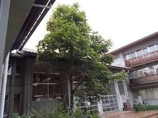 DSCN7117.JPG