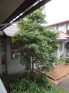 DSCN7119.jpg