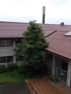 DSCN7125.jpg