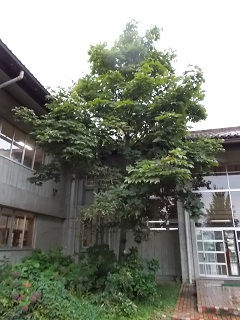 DSCN7130.jpg