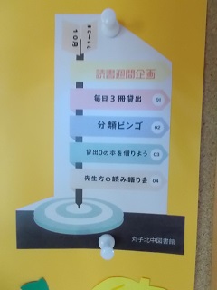 DSCN7134.jpg