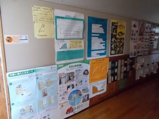 DSCN7222.JPG