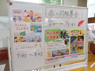 DSCN7227.JPG