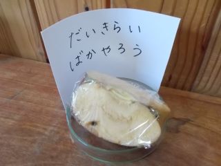 DSCN7251.JPG