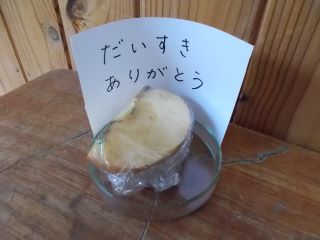 DSCN7252.JPG