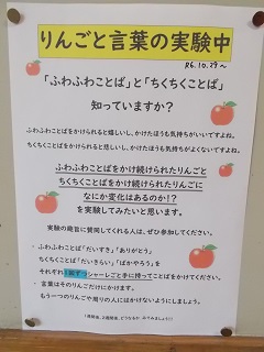 DSCN7254.jpg