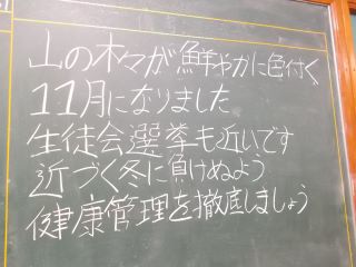 DSCN7315.JPG