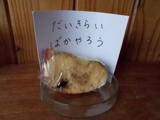 DSCN7352.JPG