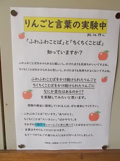 DSCN7354.jpg