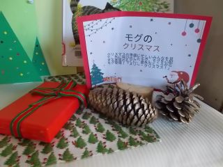 DSCN7434.JPG
