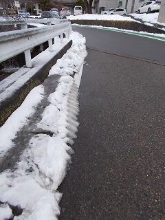 DSCN7862.jpg