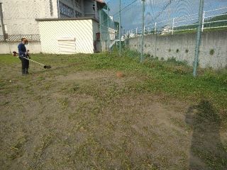 IMG_20220827_065333833_copy_800x600.jpg