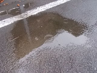 DSCN3284サイズ.JPG