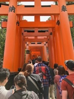 image1.jpeg