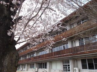 DSCN7984.JPG