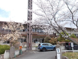 DSCN7988.JPG