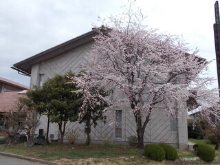 DSCN7989.JPG