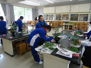 DSC01167.JPG