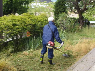 DSCN8056.JPG