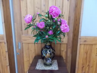 DSCN8064.JPG