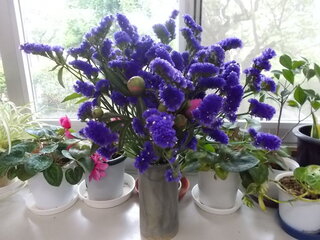 DSCN8065.JPG
