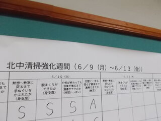 DSCN8100.JPG