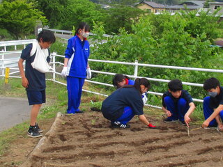 IMG_8533.JPG