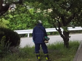 DSCN8138.JPG