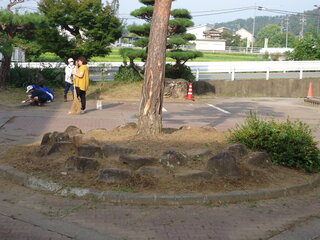DSC01343.JPG