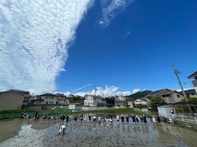taue2.jpg