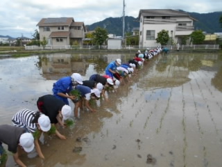 20220531taue002.jpg